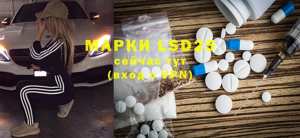 PSILOCYBIN Карталы