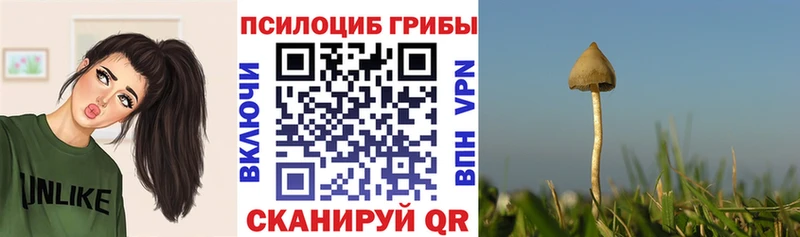 Псилоцибиновые грибы GOLDEN TEACHER  Кораблино 